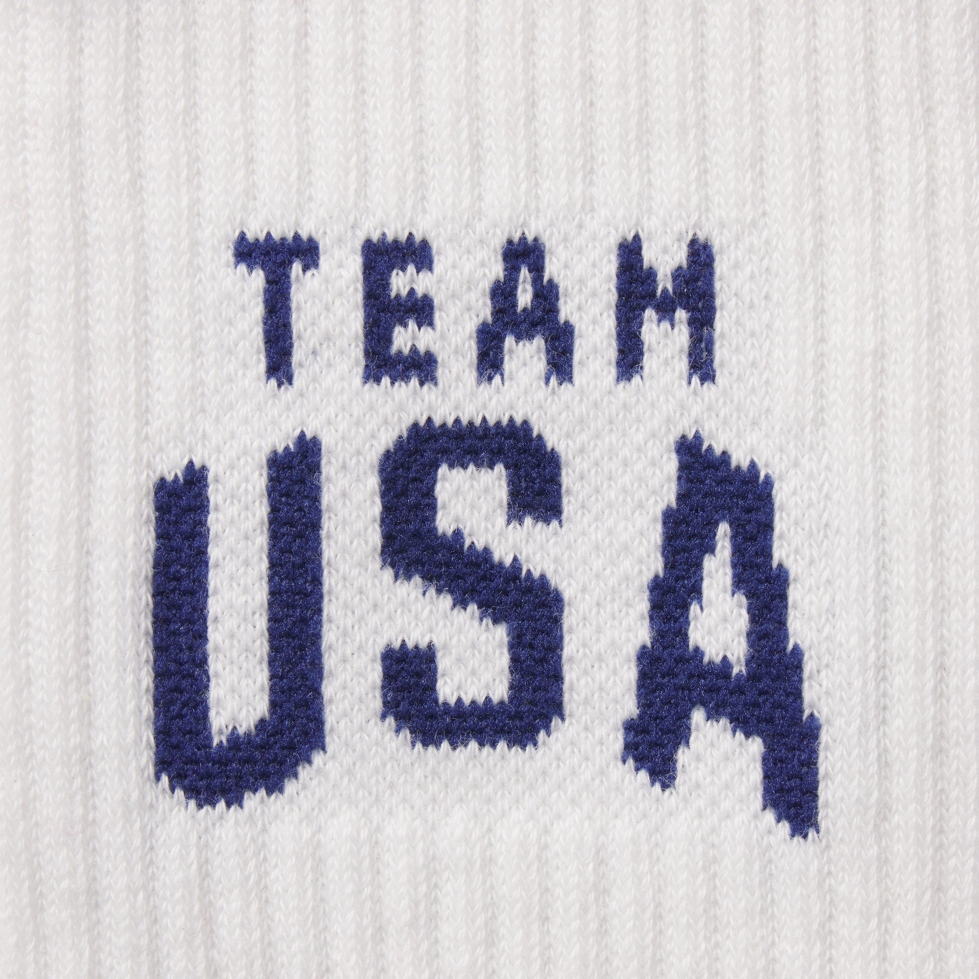 SKIMS FOR TEAM USA MENS PARALYMPIC RIBBED CREW SOCK | WHITE - ÇORAP